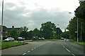 Beehive Lane at Skinners Lane junction