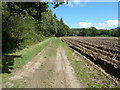 SU8526 : Footpath 1276 by potato field at Slathurst Farm by Dave Spicer