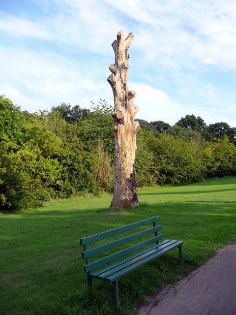 Tree Struck By Lightning Grovelands © Christine Matthews Geograph Britain And Ireland 