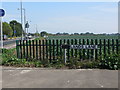 Cabbage fields of Thanet from Newlands Lane