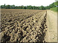 Ploughed Field