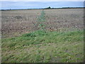 Crossfield footpath from Shire Lane to North Crawley