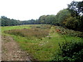 ST2694 : Horseshoe shaped field, Henllys, Cwmbran by Jaggery