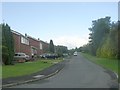 Pike Hills Mount - viewed from St Nicholas Road