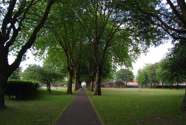 Tree lined path, Summerfield Park
