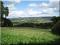 Paddock below Hennock 