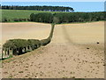 NT8160 : Ploughed fields near Marygold by Maigheach-gheal