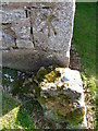 NT8053 : OSBM and Cut Mark, Wedderburn Castle Lodge by Maigheach-gheal