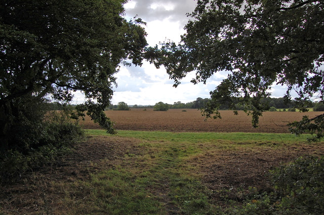 Fields near Wyatts Green