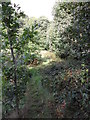 Footpath, Foxglove Road, near Almondbury.