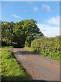 Minor road passing Larkbeare Court