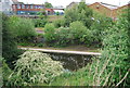 Birmingham Canal through trees