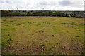 Farmland east of Pembroke