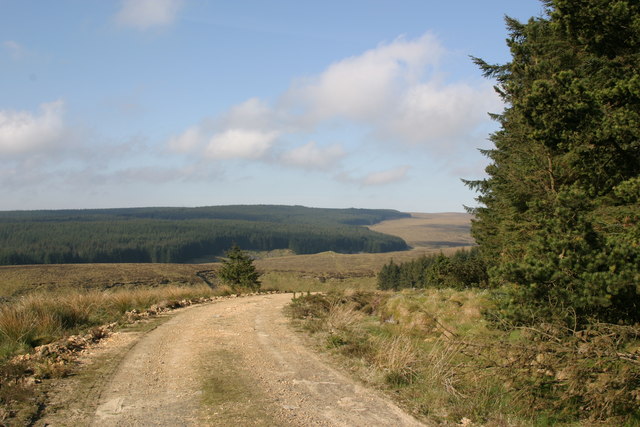 End of the forestry road