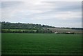 Small pylon in a large field