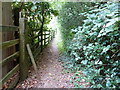 Footpath on the edge of Great Rough