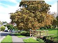 Bridge and stream beside School Green Road