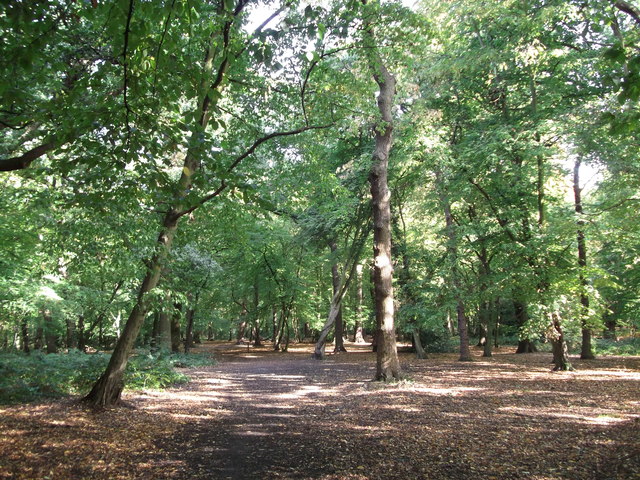 Green Chain Walk in Lower Marvels Wood © David Anstiss :: Geograph ...