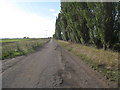 The lane to Misterton Carr Farm