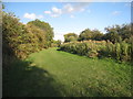 Canal towpath