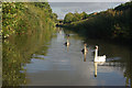 Kennet & Avon Canal, Devizes