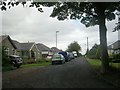 Larkfield Drive - looking towards Batter Lane