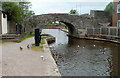 SO0428 : Mallards and canal bridge 166, Brecon by Jaggery