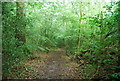 Serpent Trail, Barfold Copse