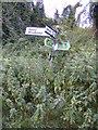 TM4252 : Roadsign at Ferry Road junction by Geographer