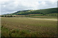 View Towards Rackham Hill, Sussex