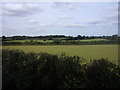 Fields near Moulsoe Old Wood