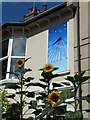 Sunflowers and a sundial on the Upper Lewes Road