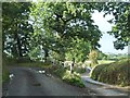 Road fork at Tale Common Head Cross