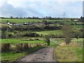 Mid Glen from Netherton Road