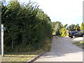 Pedlars Lane Bridleway