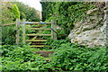 Overgrown Steps to the Gateway, Amberley, Sussex