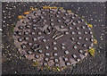 "SW" manhole cover, Lisburn