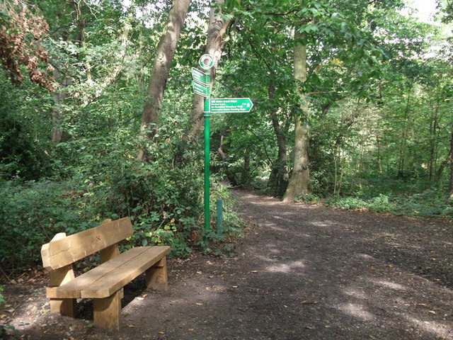 Green Chain Walk junction in Summerhouse Wood