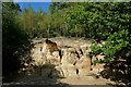 Sandstone at Rackham, Sussex