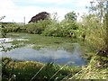 NT9633 : Pond, West Fenton by Richard Webb