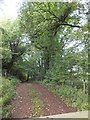 Bridleway entering woodland south of Ashliford