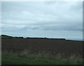 Farmland, Mickleby Hole