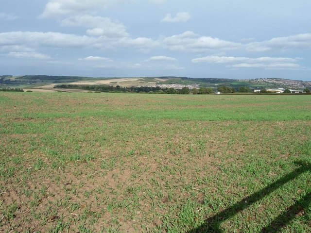 Large field north of Upper Field Lane