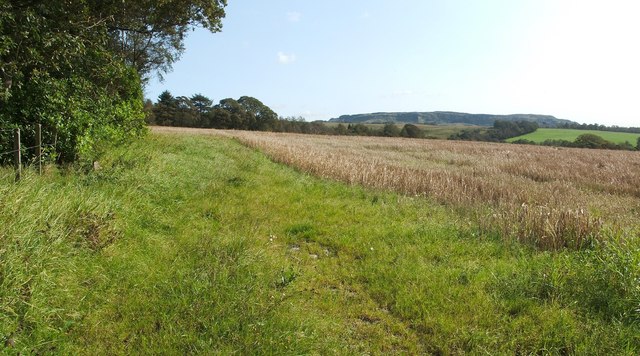 A field (Mains Farm)