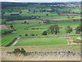 Gallop west of Park Farm, Middleham