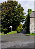 R6272 : Local road from Kilbane to Killaloe by P L Chadwick