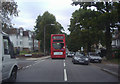 699 bus on Eversley Park Road, Winchmore Hill