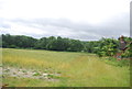 Farmland, Coney Lodge Farm