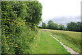 Footpath from Coney Lodge Farm