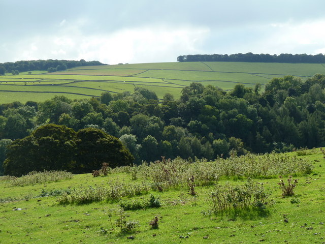 Countryside view across Lathkill Dale